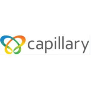Capillary Technologies India IPO LOGO