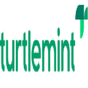Turtlemint Fintech Solutions IPO Logo